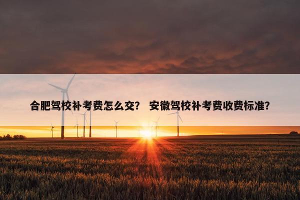 合肥驾校补考费怎么交？ 安徽驾校补考费收费标准？