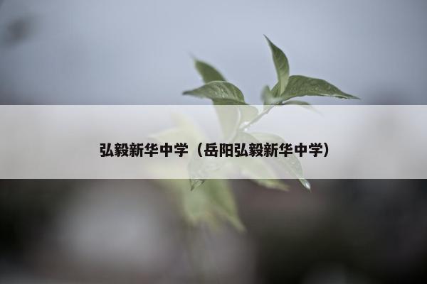 弘毅新华中学（岳阳弘毅新华中学）