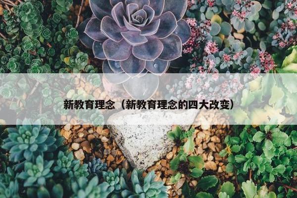 新教育理念（新教育理念的四大改变）