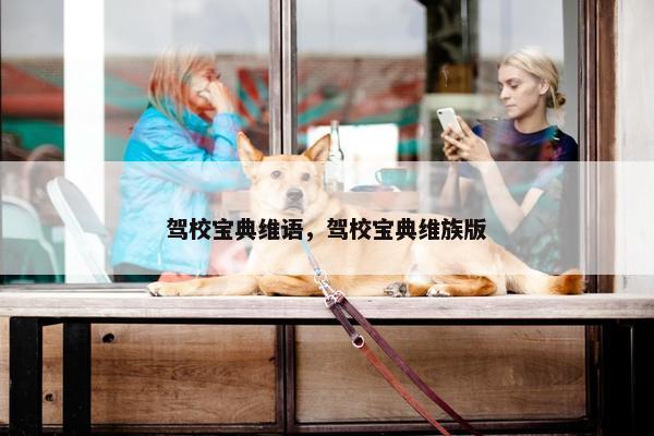 驾校宝典维语，驾校宝典维族版