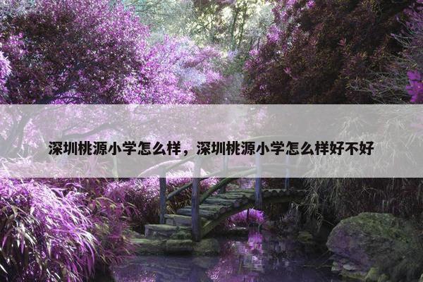 深圳桃源小学怎么样，深圳桃源小学怎么样好不好