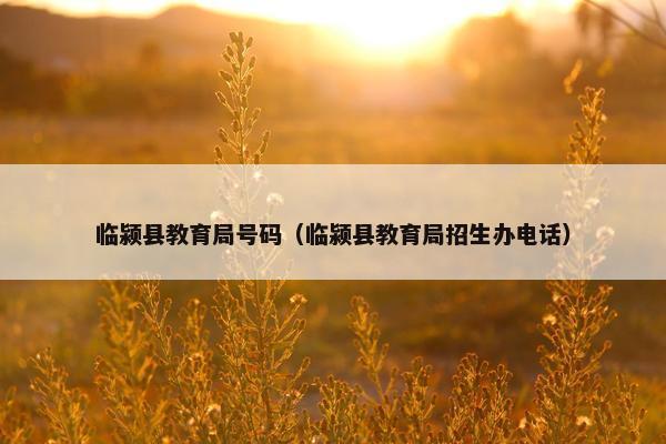 临颍县教育局号码（临颍县教育局招生办电话）