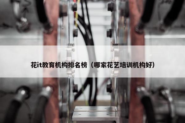花it教育机构排名榜（哪家花艺培训机构好）
