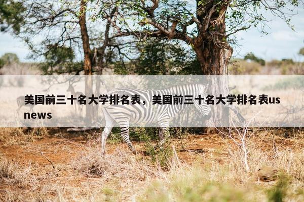 美国前三十名大学排名表，美国前三十名大学排名表usnews