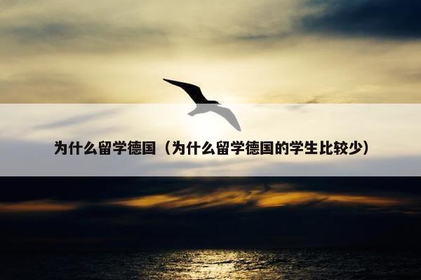 为什么留学德国（为什么留学德国的学生比较少）