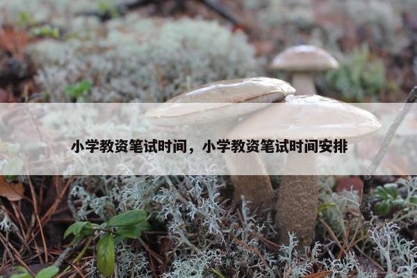 小学教资笔试时间，小学教资笔试时间安排