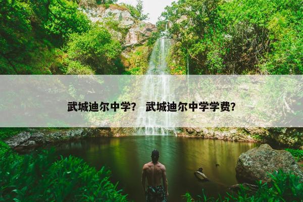 武城迪尔中学？ 武城迪尔中学学费？