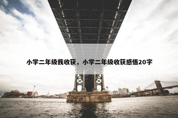 小学二年级我收获，小学二年级收获感悟20字