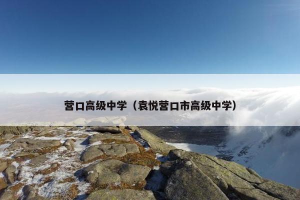 营口高级中学（袁悦营口市高级中学）