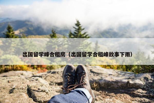 出国留学峰合租房（出国留学合租峰故事下雨）
