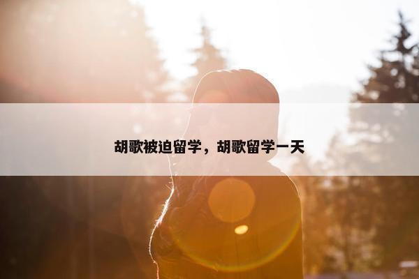 胡歌被迫留学，胡歌留学一天