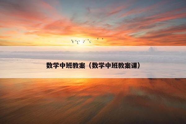 数学中班教案（数学中班教案课）