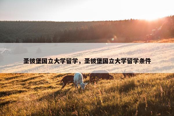 圣彼堡国立大学留学，圣彼堡国立大学留学条件