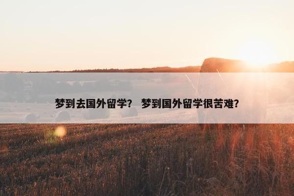 梦到去国外留学？ 梦到国外留学很苦难？