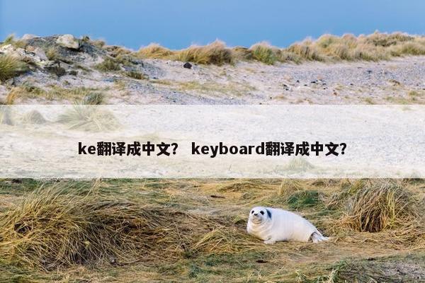 ke翻译成中文？ keyboard翻译成中文？
