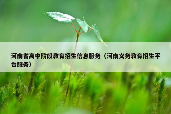 河南省高中阶段教育招生信息服务（河南义务教育招生平台服务）