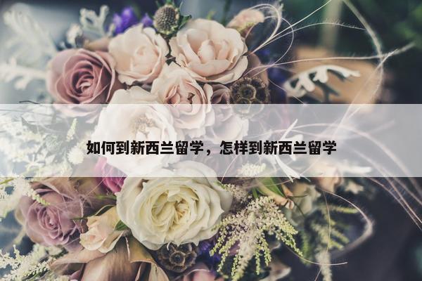 如何到新西兰留学，怎样到新西兰留学