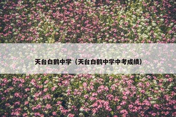 天台白鹤中学（天台白鹤中学中考成绩）