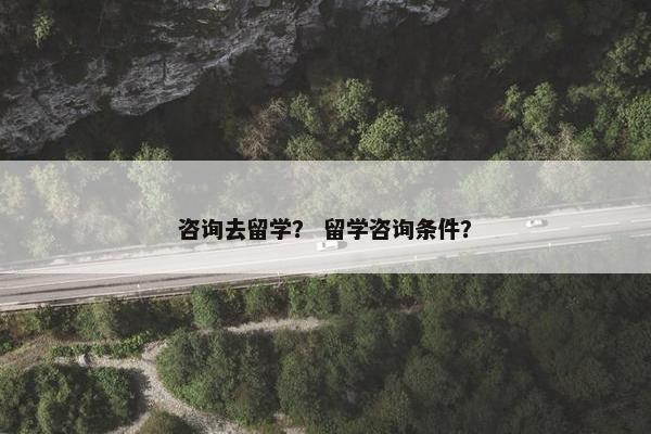 咨询去留学？ 留学咨询条件？