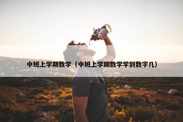 中班上学期数学（中班上学期数学学到数字几）