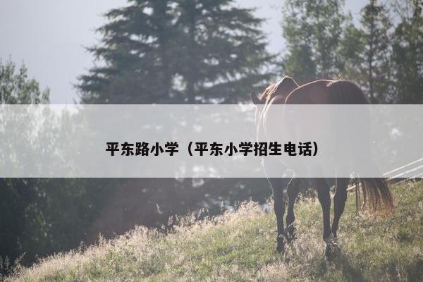 平东路小学（平东小学招生电话）