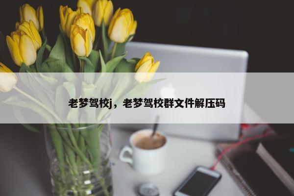 老梦驾校j，老梦驾校群文件解压码