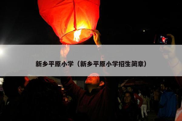 新乡平原小学（新乡平原小学招生简章）