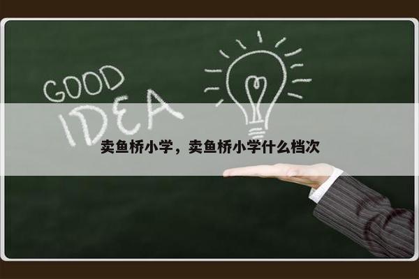 卖鱼桥小学，卖鱼桥小学什么档次