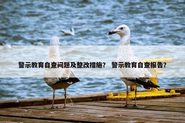 警示教育自查问题及整改措施？ 警示教育自查报告？