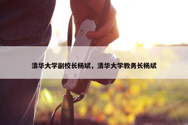 清华大学副校长杨斌，清华大学教务长杨斌
