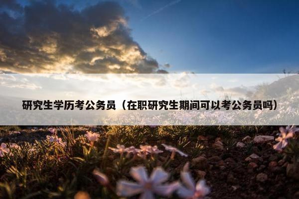研究生学历考公务员（在职研究生期间可以考公务员吗）