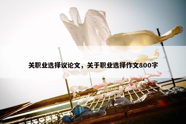 关职业选择议论文，关于职业选择作文800字