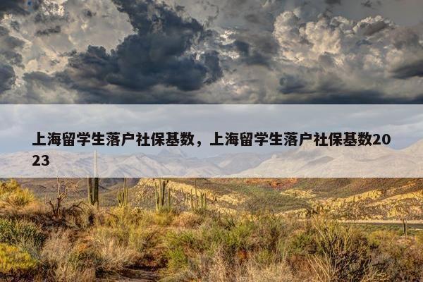 上海留学生落户社保基数，上海留学生落户社保基数2023