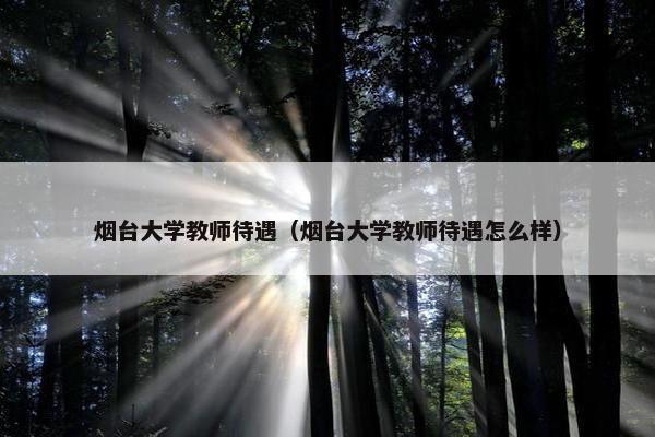 烟台大学教师待遇（烟台大学教师待遇怎么样）