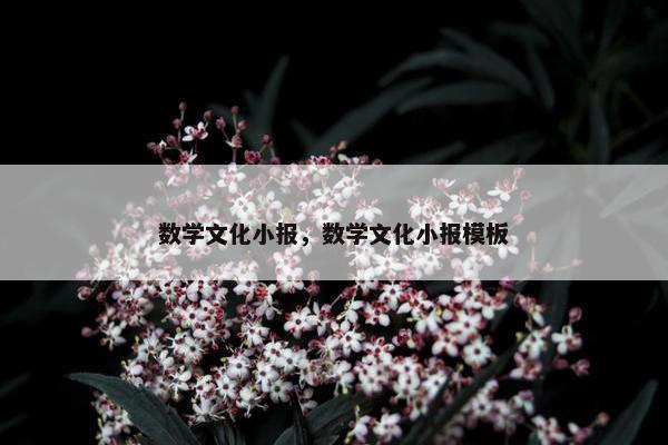 数学文化小报，数学文化小报模板