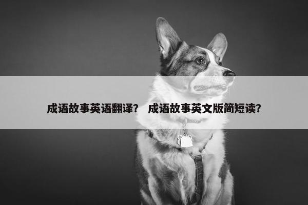 成语故事英语翻译？ 成语故事英文版简短读？