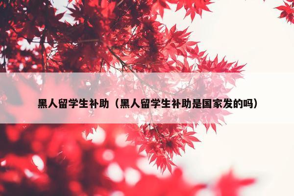 黑人留学生补助（黑人留学生补助是国家发的吗）