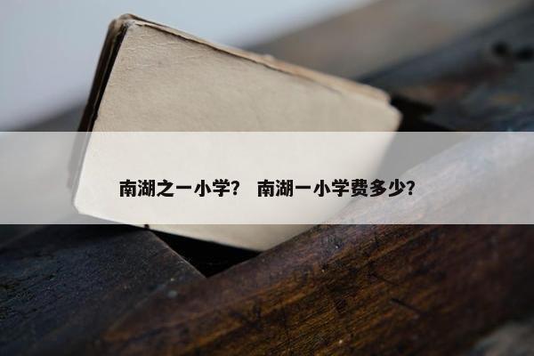 南湖之一小学？ 南湖一小学费多少？