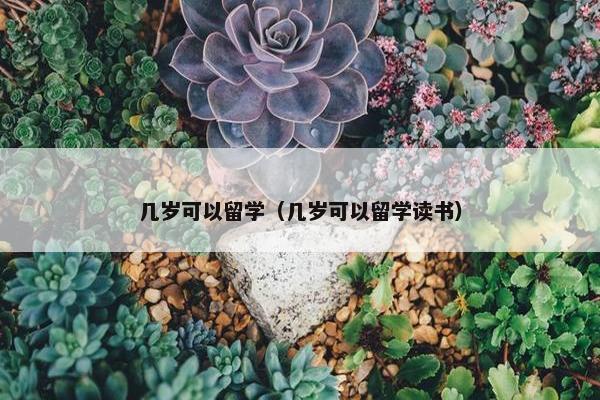 几岁可以留学（几岁可以留学读书）