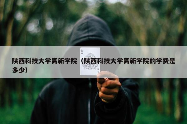 陕西科技大学高新学院（陕西科技大学高新学院的学费是多少）