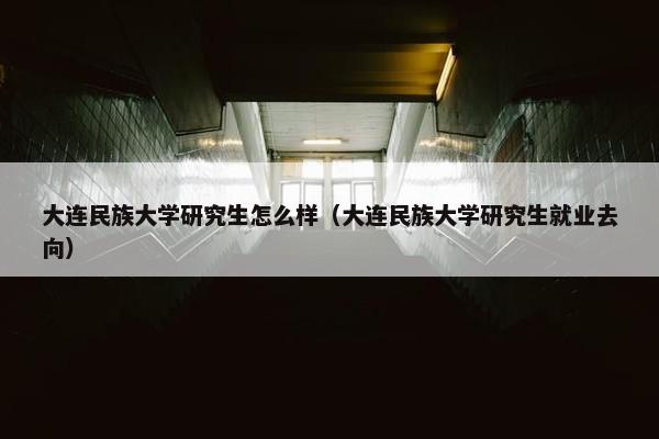 大连民族大学研究生怎么样（大连民族大学研究生就业去向）
