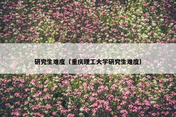 研究生难度（重庆理工大学研究生难度）