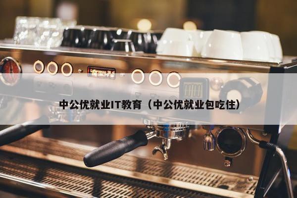 中公优就业IT教育（中公优就业包吃住）