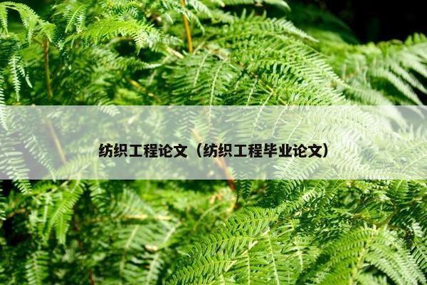 纺织工程论文（纺织工程毕业论文）