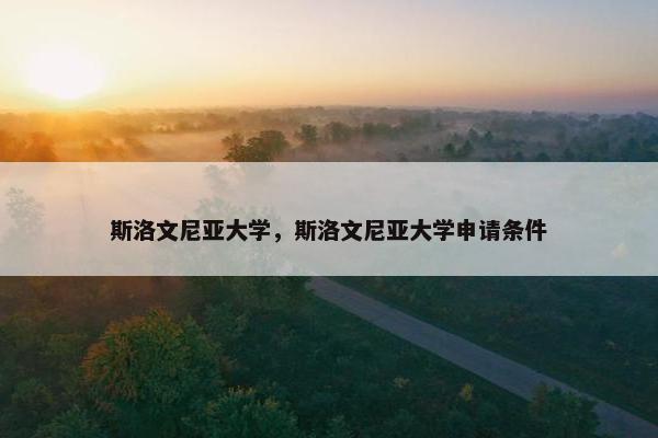 斯洛文尼亚大学，斯洛文尼亚大学申请条件