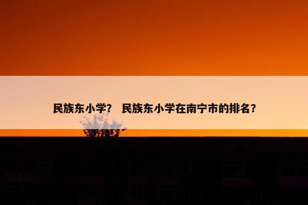 民族东小学？ 民族东小学在南宁市的排名？