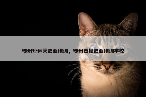 鄂州短运营职业培训，鄂州青松职业培训学校