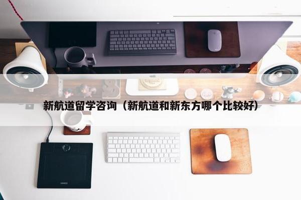 新航道留学咨询（新航道和新东方哪个比较好）