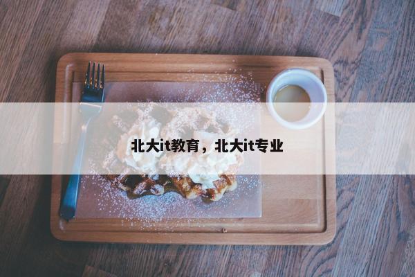 北大it教育，北大it专业