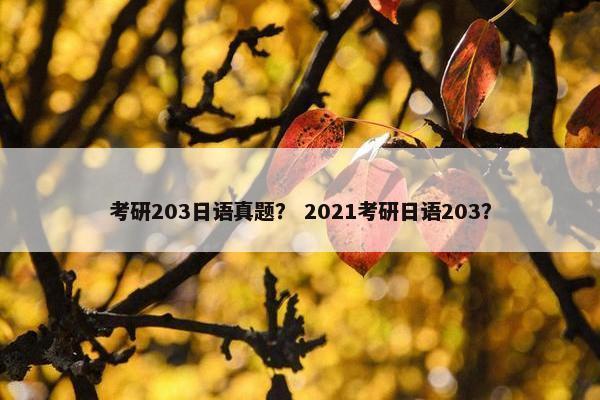考研203日语真题？ 2021考研日语203？